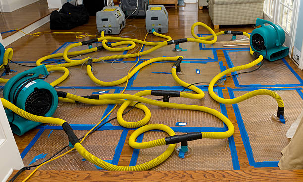 Professional Crawl Space Water Removal technician working in Eleva, WI